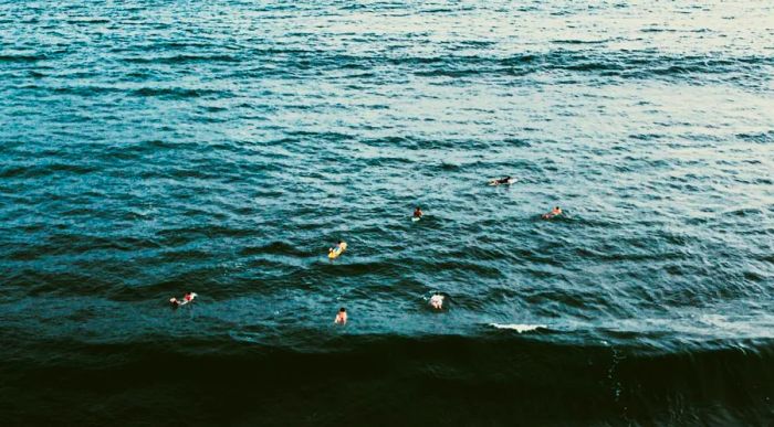 Surfers enjoying the waves