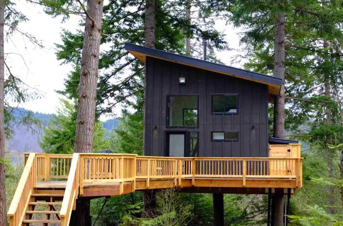 Black tree house cabin with a spacious blond-wood deck nestled among pine trees