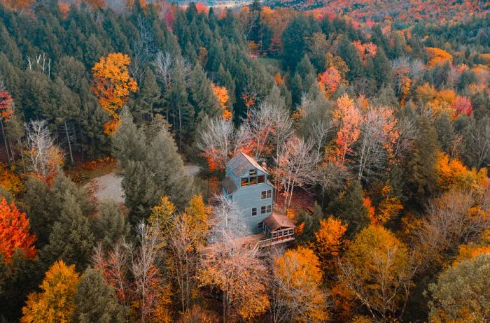 Aerial view of a tree house cabin nestled in the forest in Johnson, Vermont