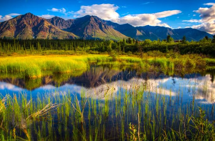 Denali National Park