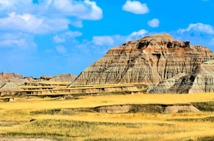 Foreground grasslands contrast with striking rock formations in the background, showcasing layers of gray and rust-colored stripes.