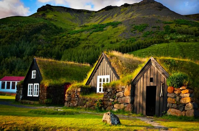 Turf houses found in Iceland.