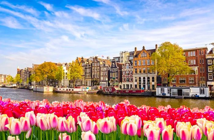 Amsterdam city skyline