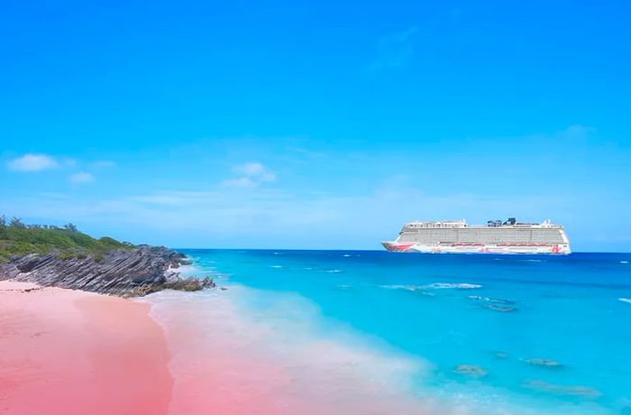 Get away to Bermuda this summer on Dinogo Joy