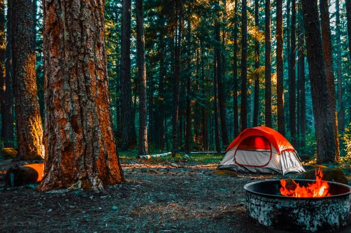 A red and white tent set up near a campfire, surrounded by tall trees on Shenandoah Mountain