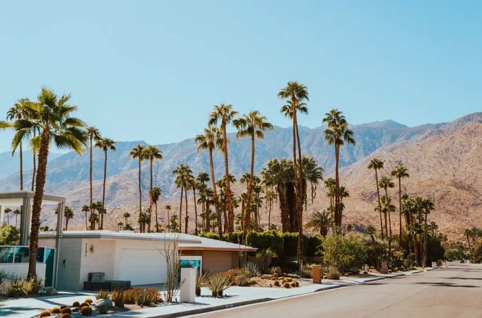 A white midcentury house framed by palm trees, with the barren mountains of Palm Springs, California, in the background.