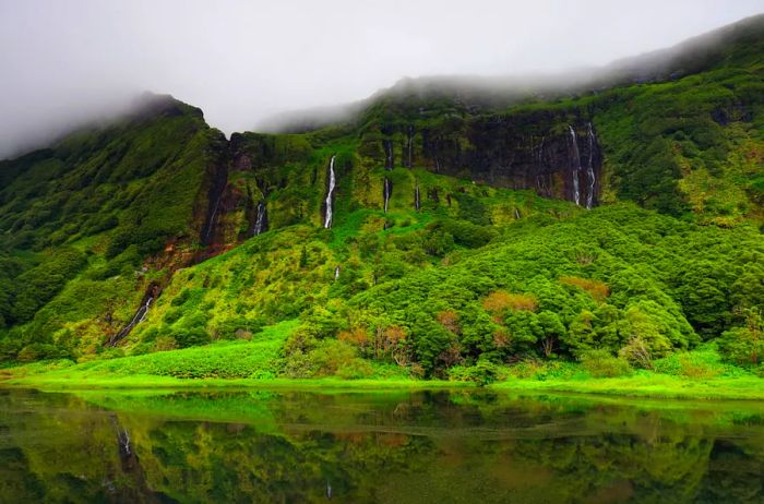 cliffs of Pozo Ribeira do Ferreiro in the Azores