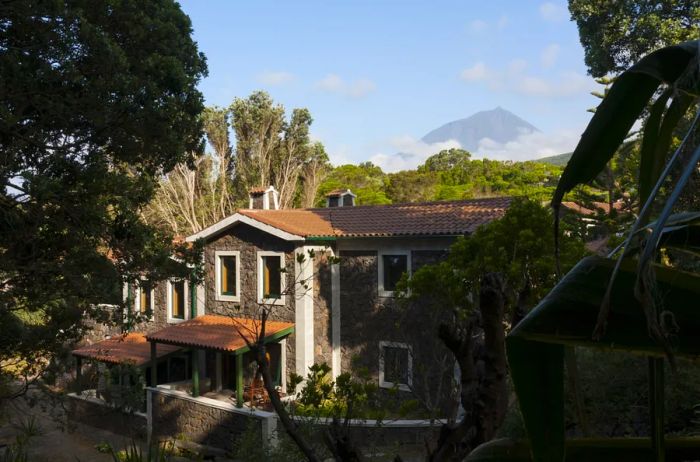 Aldeia da Fonte on Pico