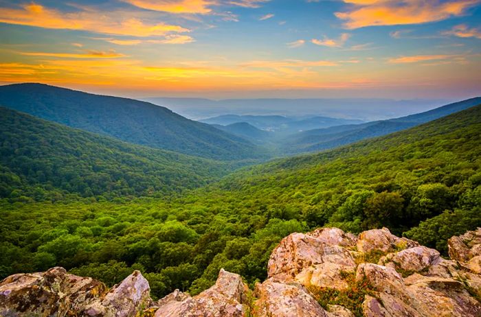 A breathtaking view of lush green mountains at Shenandoah National Park.