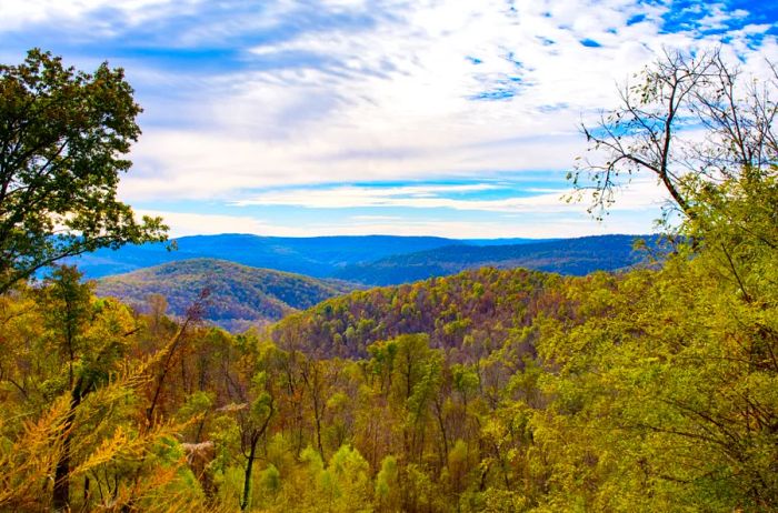 Mountaintops adorned with golden leaves.