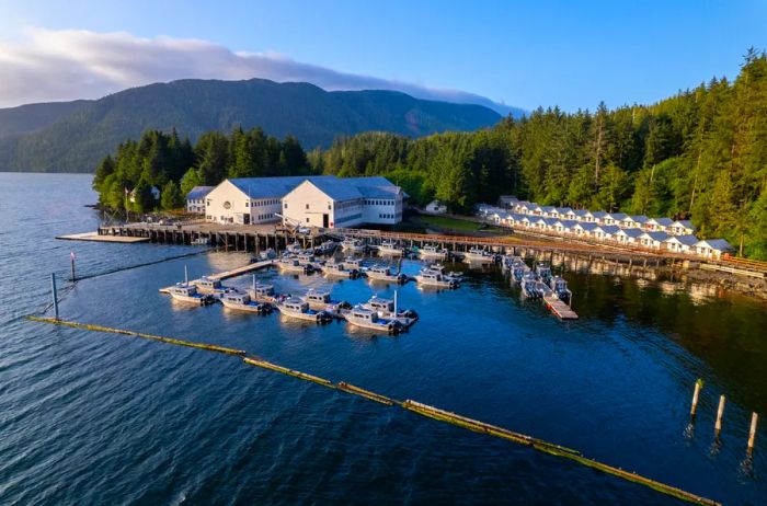 At Waterfall Resort, guests can try their luck at catching some impressive salmon alongside a boat captain.