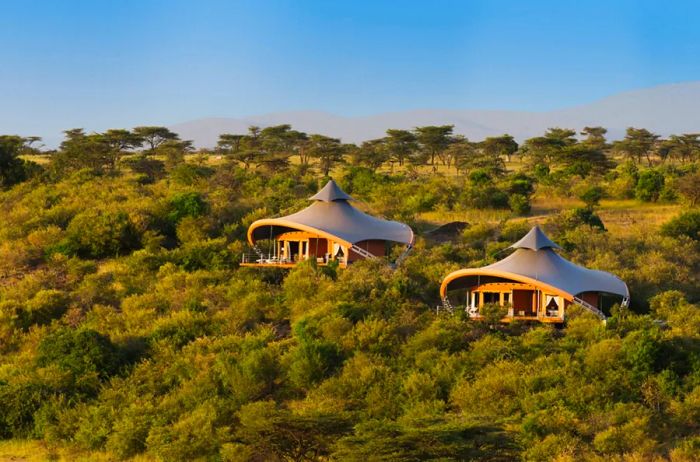 At Mahali Mzuri, collaboration with the Maasai community guarantees that local members earn a steady income while also safeguarding the area from overtourism.