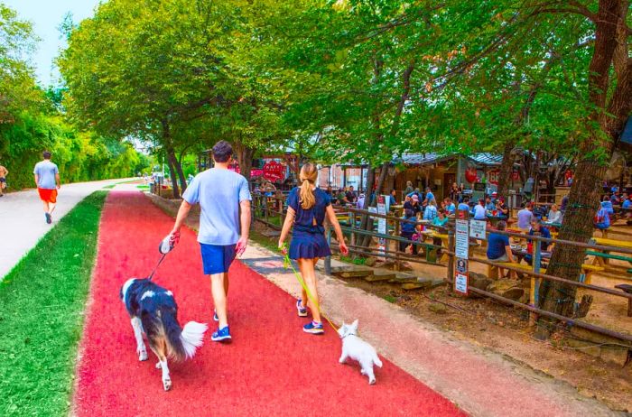 The Katy Trail in Dallas is a dog-friendly retreat, providing a refreshing slice of nature in the city center.