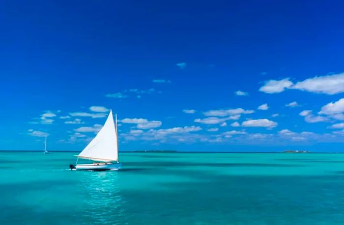 Experience a Sailboat Tour of Grand Bahama Island