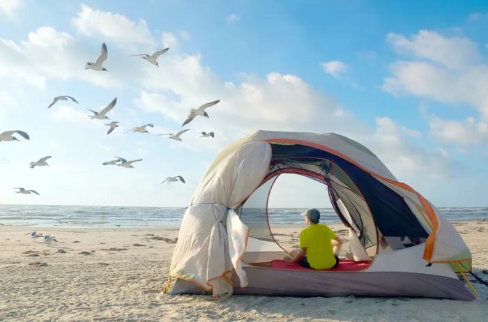 A person relaxing in a white tent on the beach, gazing at the water, with seagulls soaring above