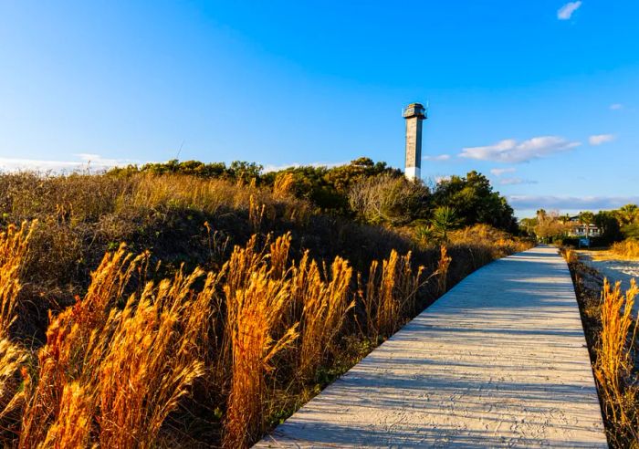 The Sand Dunes of Station 18 Beach and Sullivan's Island Lighthouse, Sullivan's Island, South Carolina, USA