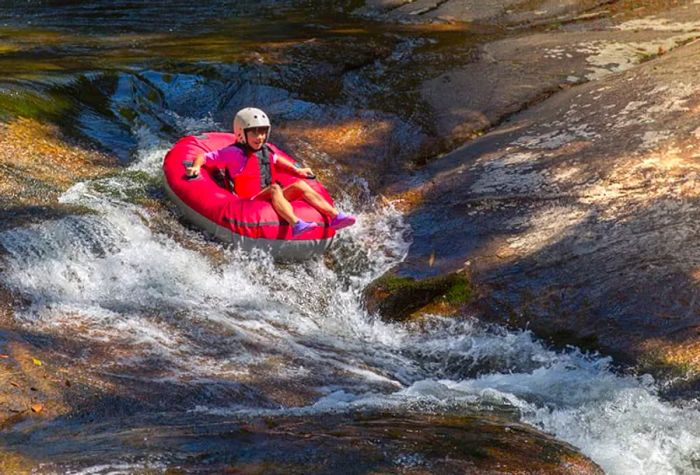 Jamaica River Tubing Experience