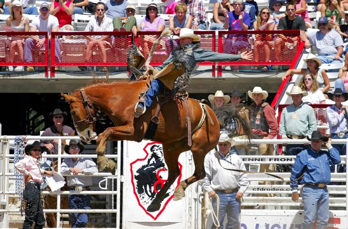 A rider on a bucking horse captivates the crowd at the 2005 Cheyenne Frontier Days rodeo.