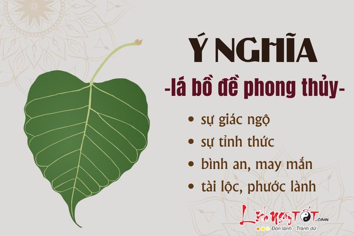 Ý nghĩa của lá bồ đề phong thủy