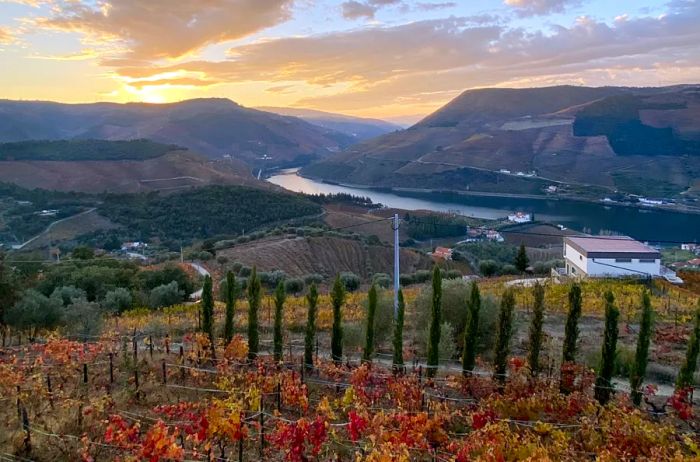 Douro River Valley View from an Airbnb