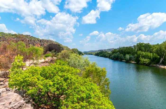 A serene river flowing through Arnhem Land, flanked by tree-lined banks