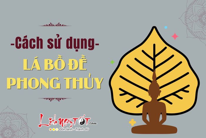 Cách sử dụng lá bồ đề