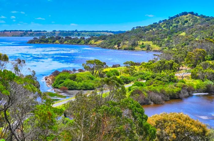 Aerial view of a river winding through lush trees in Tower Hill Wildlife Reserve