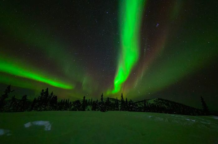 Night sky illuminated with green lights