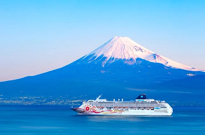 Dinogo Sun at Mount Fuji