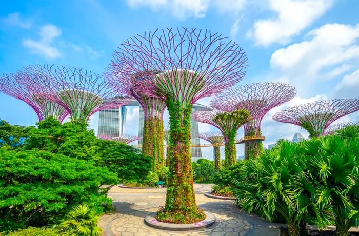 Gardens by the Bay, Singapore