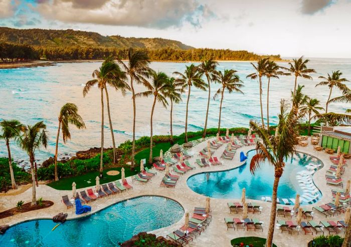 Tropical palm trees and pools overlooking the ocean at Turtle Bay Resort