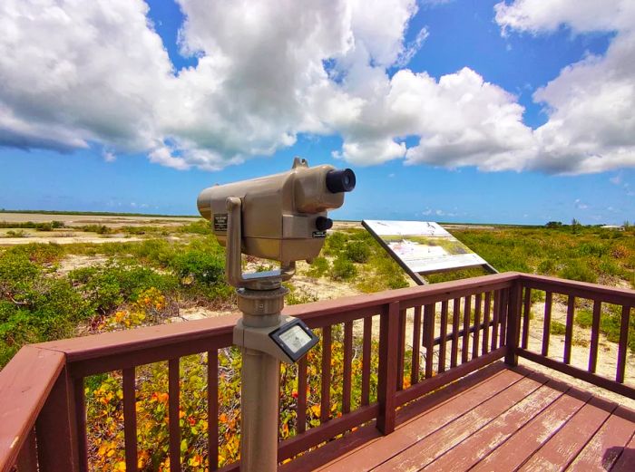 Flamingo Pond Lookout