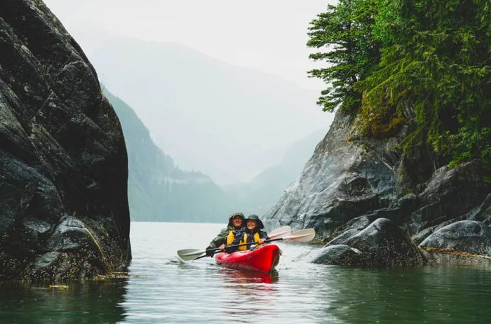 UnCruise guests enjoying kayaking in Alaska