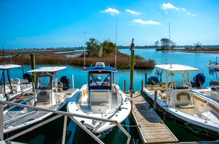 Experience Myrtle Beach from a new perspective on the water