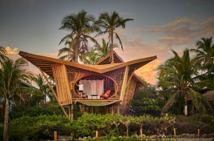 A tree house at Playa Viva in Mexico, elevated six feet above the ground and enveloped by palm trees.