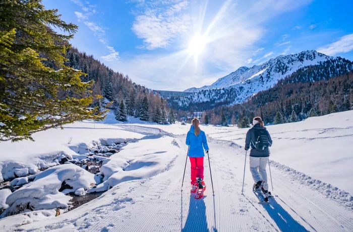 If you're seeking a popular activity, consider a guided snowshoe hike through the wilderness.