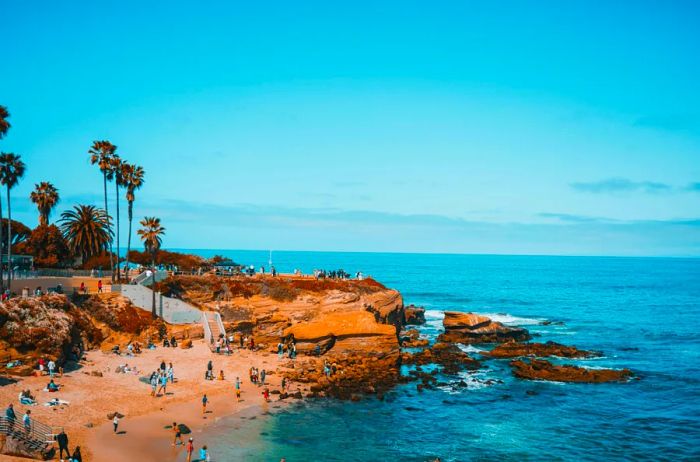 A distant view of individuals on a rocky beach in San Diego, with palm trees in the background.