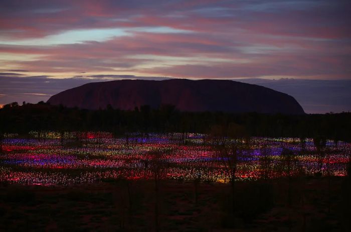 Munro’s “Field of Light Uluru” is among the globe’s most renowned light installations and has been extended indefinitely.