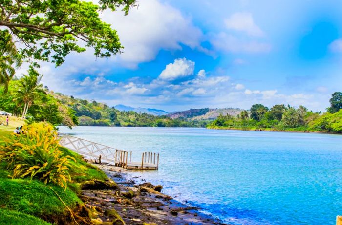 Lush greenery bordering a dock that leads to a river.