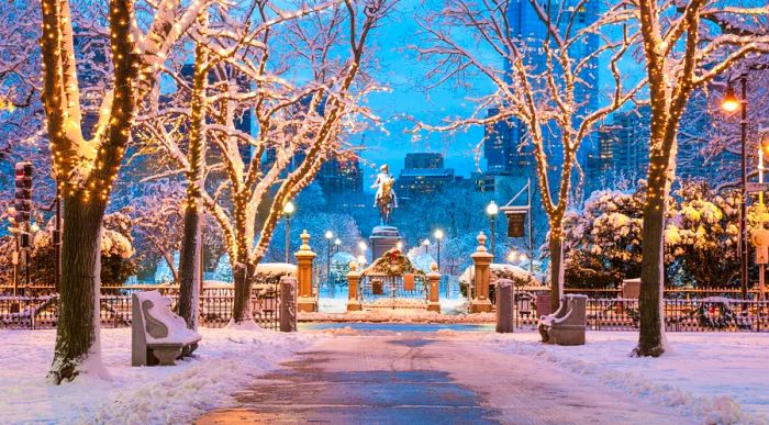 The winter architecture of Boston, Massachusetts showcases the beauty of the Boston Public Garden in the Back Bay area.