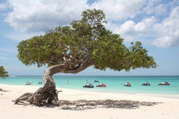 Eagle Beach in Aruba. (Photo by Marc Boettinger / Getty Images)