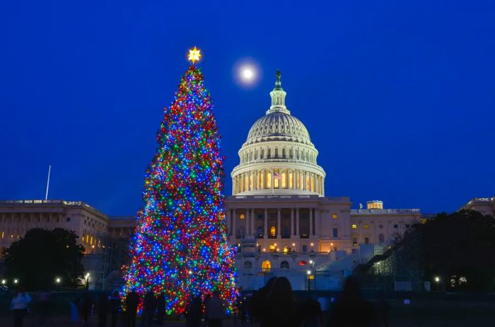 The United States Capitol Building and its Christmas tree illuminated at night