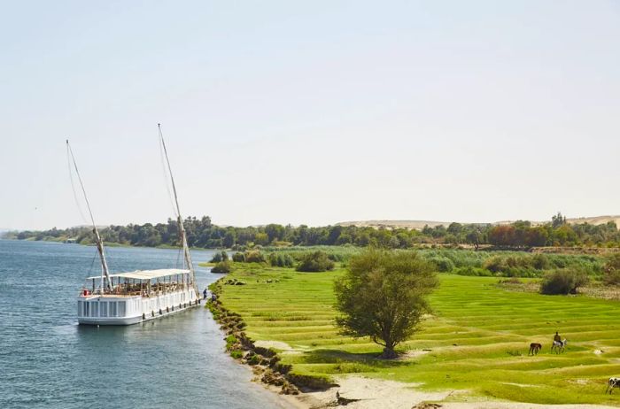 A dahabiya sailboat gliding along the Nile River, surrounded by lush pastures from Nour El Nil cruises