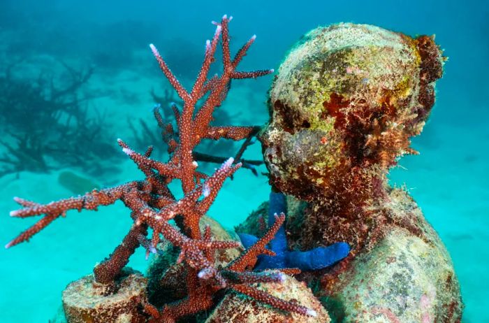 Submerged sculpture at the Great Barrier Reef Museum of Underwater Art