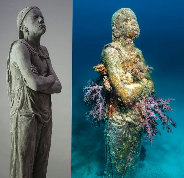 One of Jason deCaires Taylor's sculptures before and after being submerged at the Museum of Underwater Art