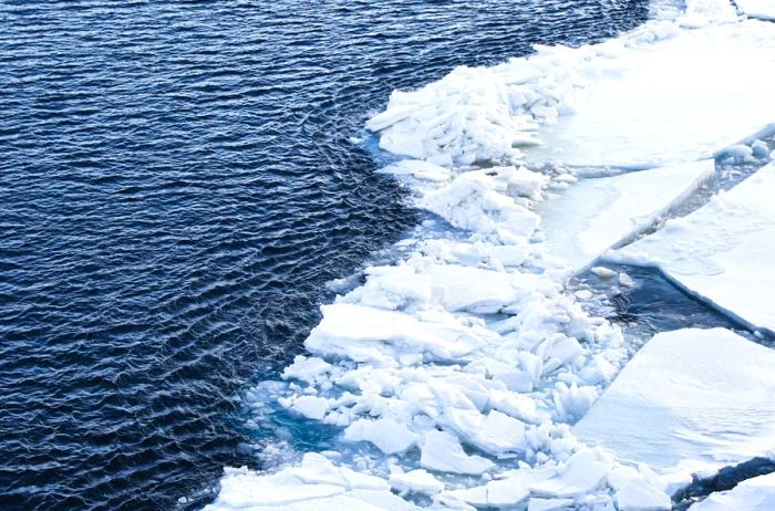 Ice chunks floating in deep blue waters