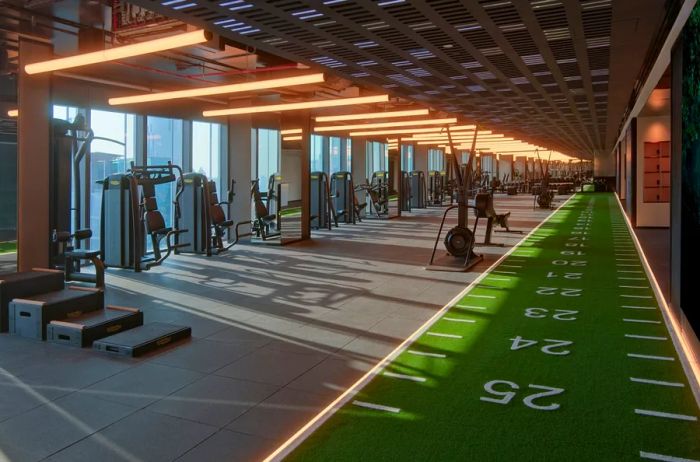 A line of vacant exercise machines positioned along a wall of windows.