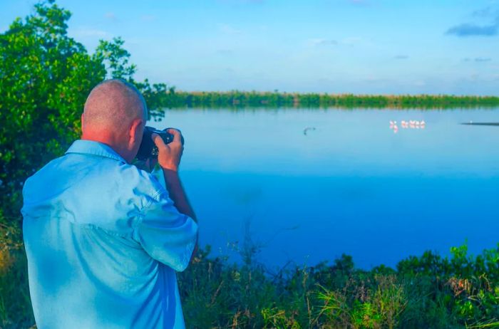 Explore J.N. Ding Darling National Wildlife Preserve