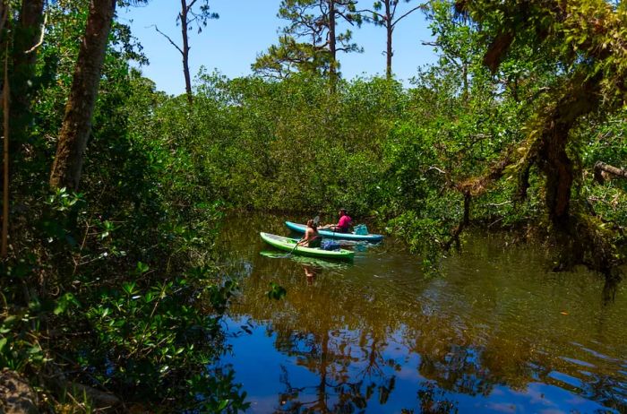 Image courtesy of Fort Myers – Islands, Beaches and Neighborhoods