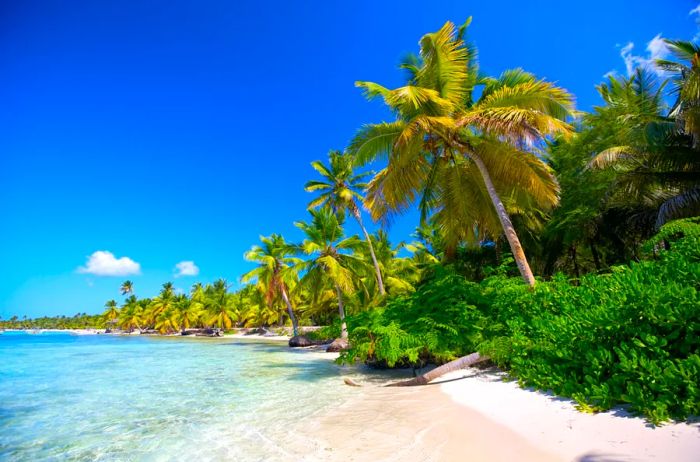 A shoreline in the Dominican Republic